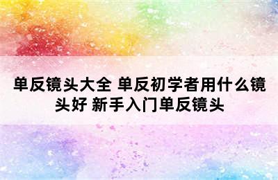 单反镜头大全 单反初学者用什么镜头好 新手入门单反镜头